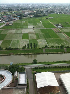 越谷市のこしがや田んぼアート２０１０（２２日目）