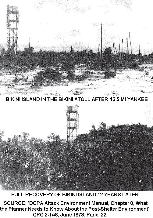 [Bikini+recovery.JPG]