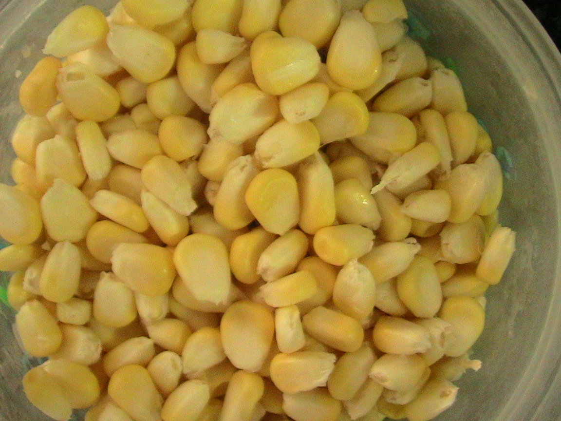 Lets Cook Something CORN RAVA UPMA