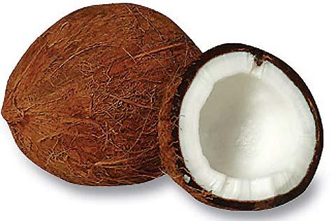 [Hindistancevizi.jpg]