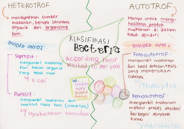 Life For Beyond: biologi bacteria