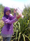 Foto saya