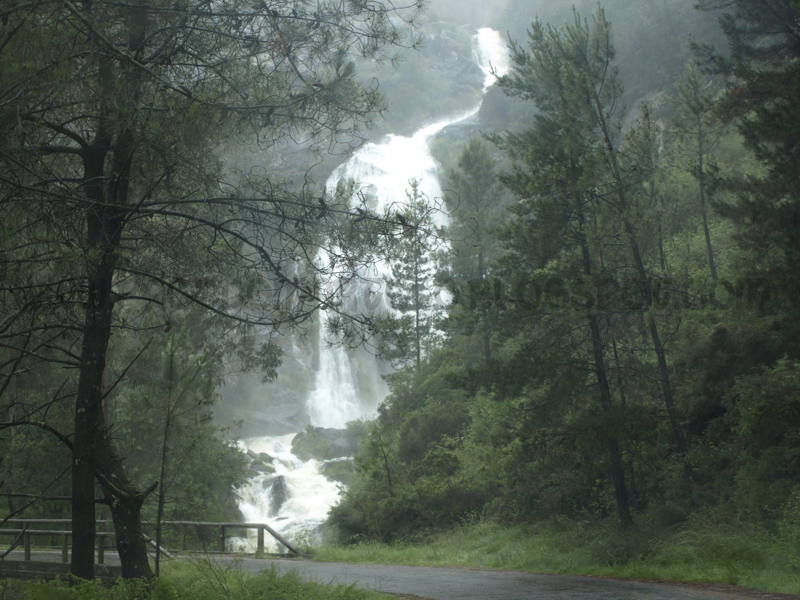 [Fervenza+Cadarnoxo.JPG]