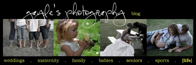 gayle's photography