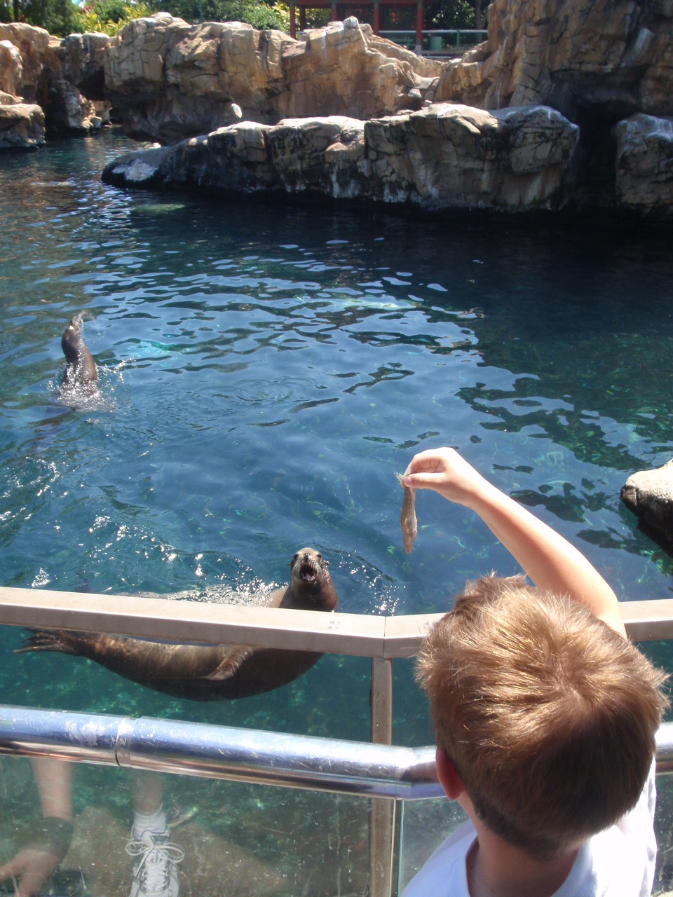 Blunoz Random Ramblings: Spring Break - Family Vacation Part 2