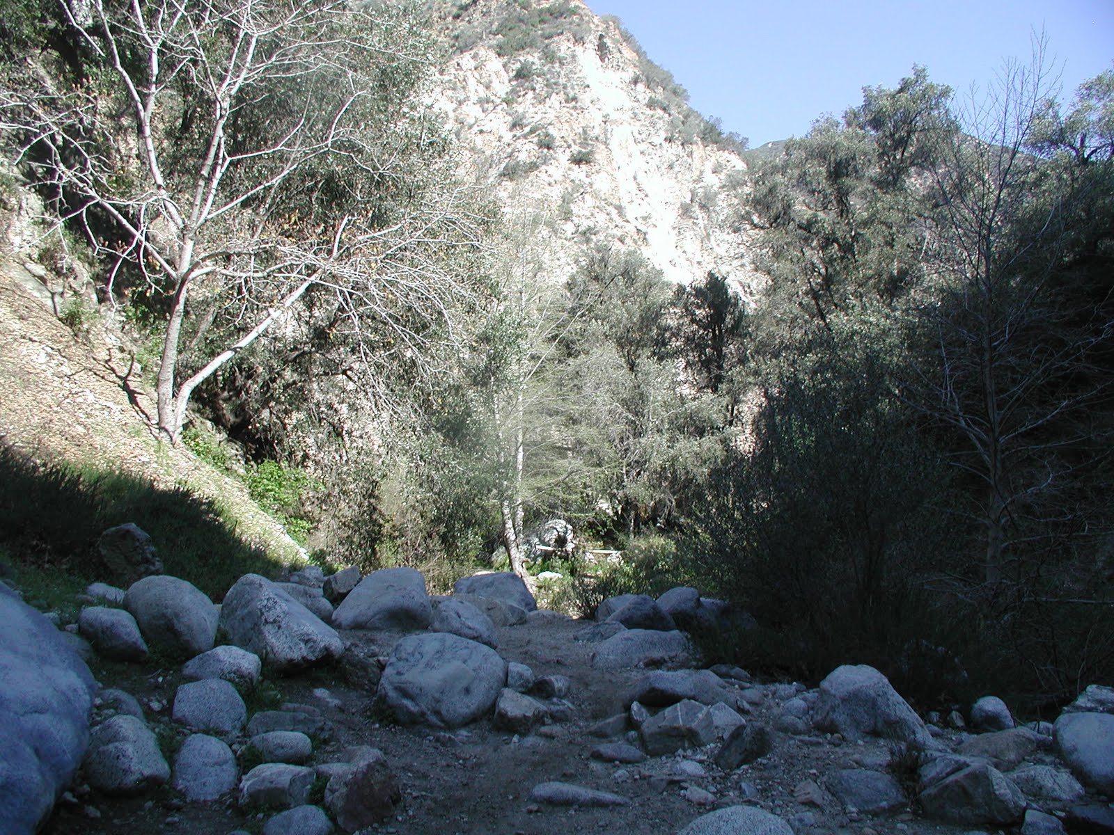 tarantula corner Henninger Flats Lower Eaton Canyon