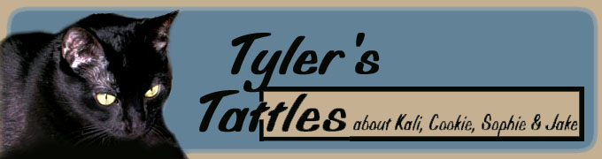 Tyler's Tattles