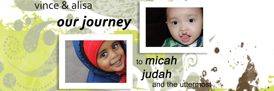 Vince & Alisa...our journey to Micah, Judah...and beyond