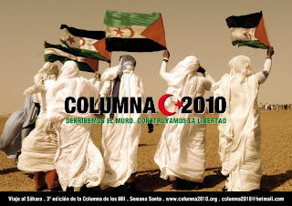 Columna 2010, Sahara