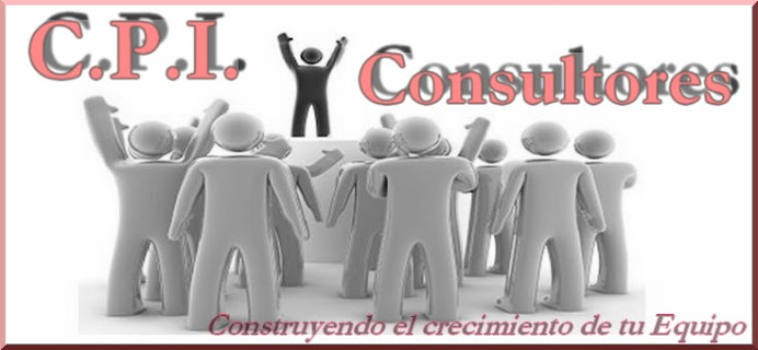 C.P.I. Consultores