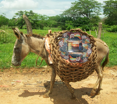 Mi Transporte Exclusivo