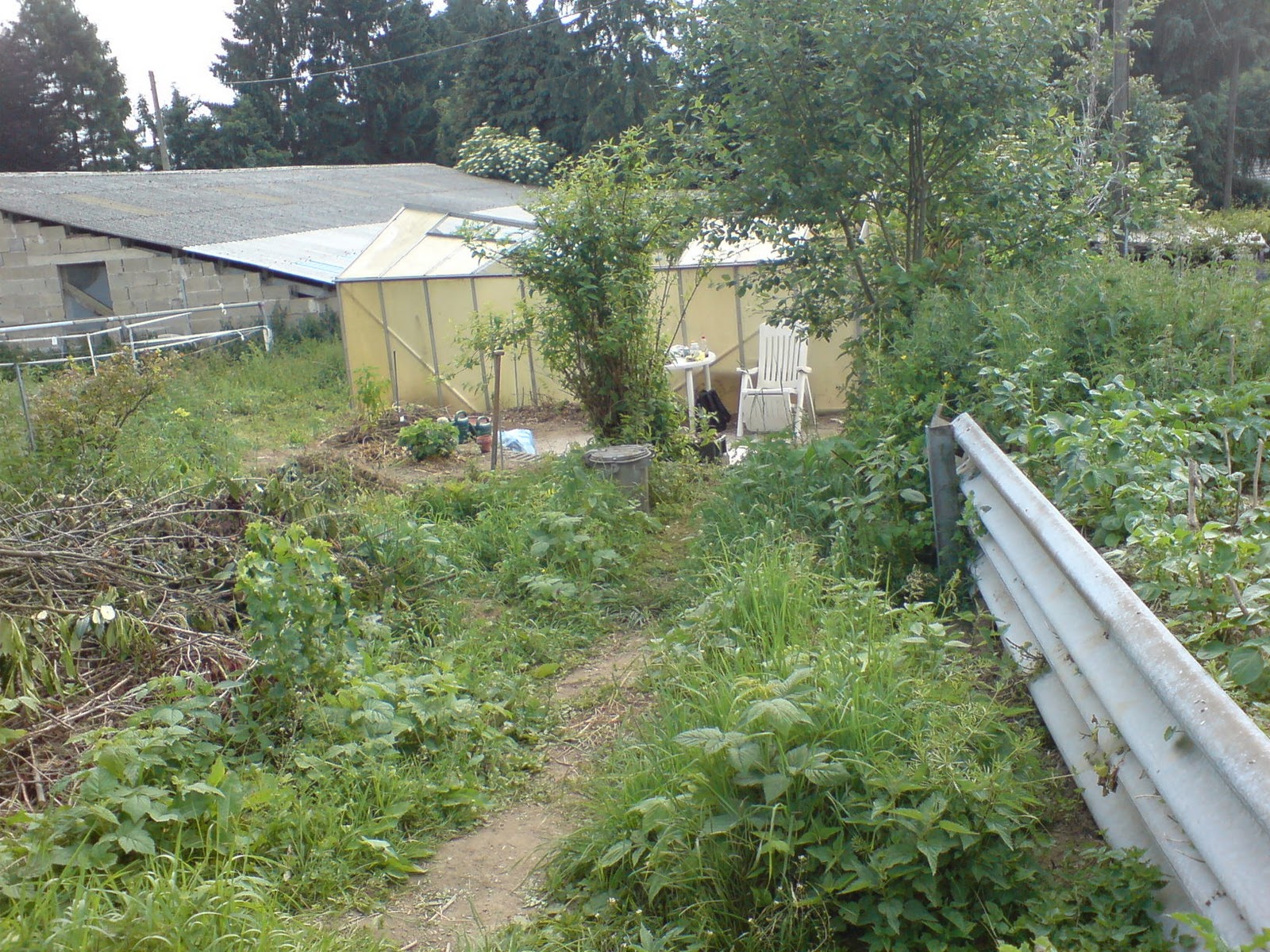 Vorgarten: Der Garten im Wandel der Jahreszeiten