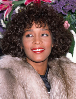 Blog Blog Blog: whitney houston before and after drugs