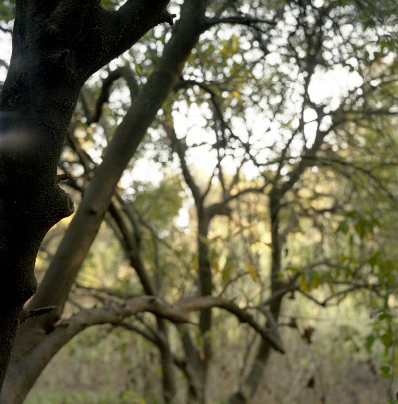 [Mike-6363--006.jpg]