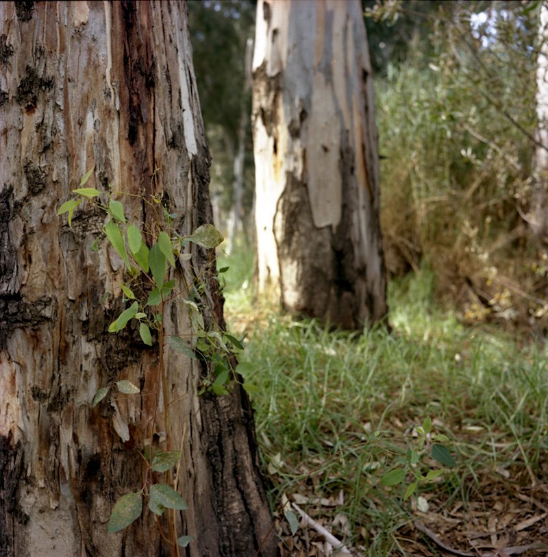 [Mike-6362--004.jpg]