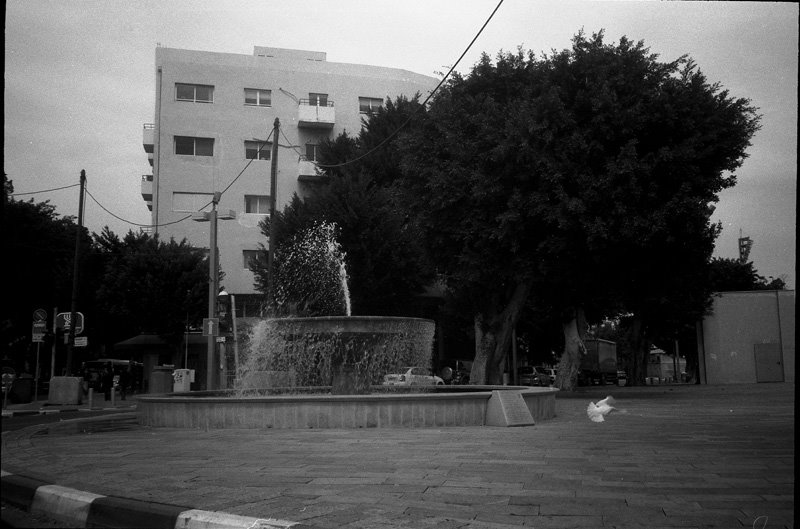 [post-11867-1237759754.jpg]