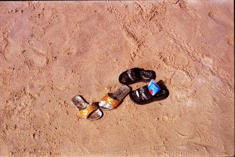 [img931.jpg]