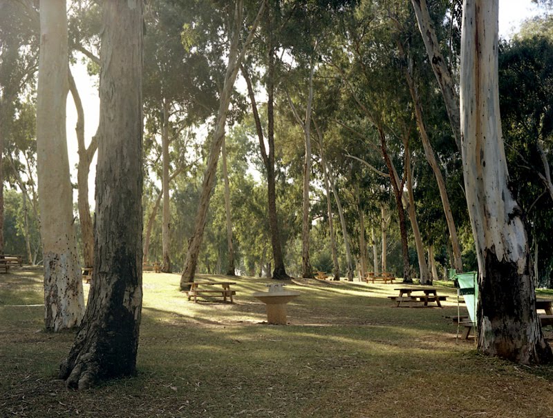 [Mike-6362--0012.jpg]