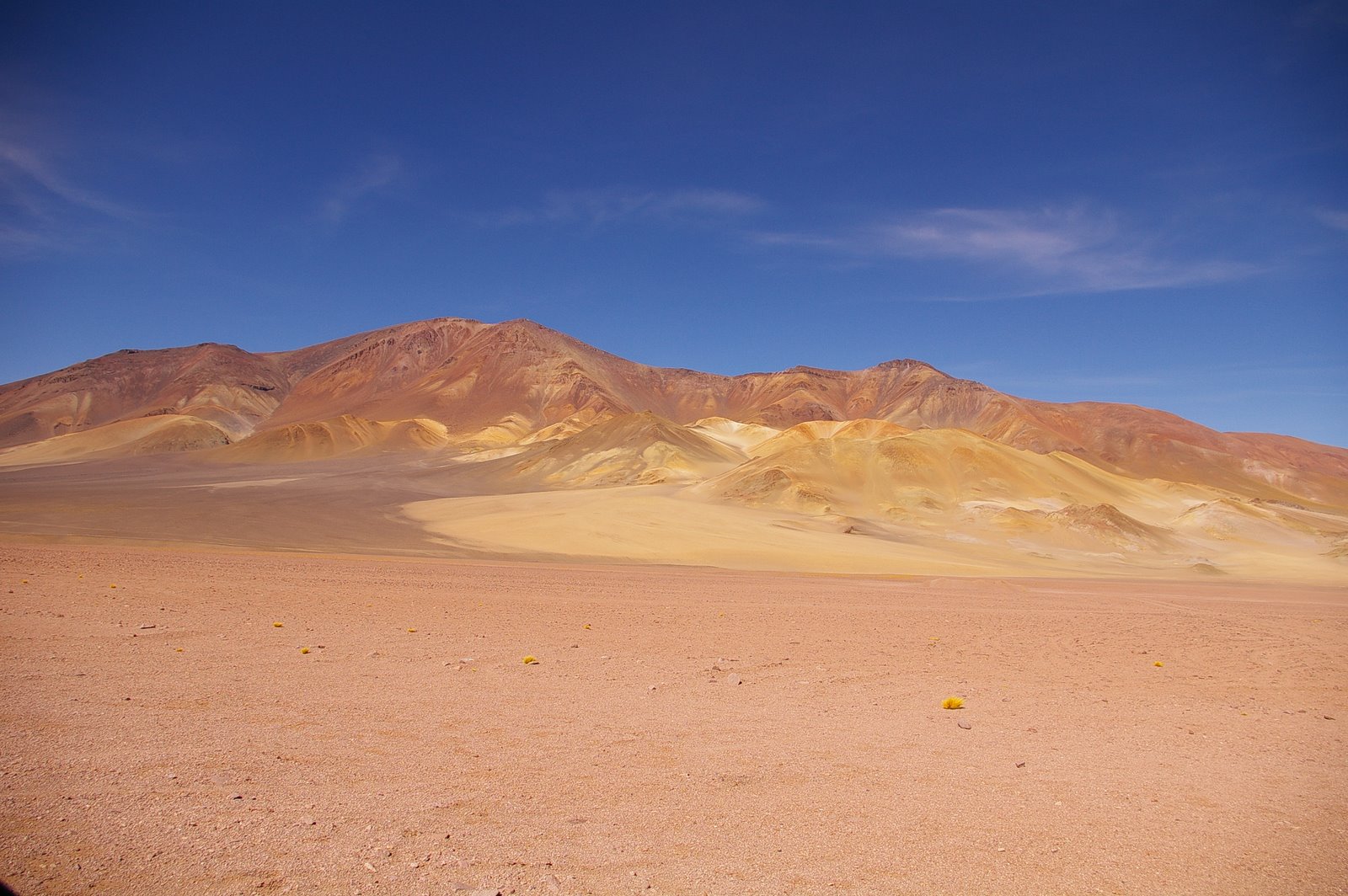 desierto desierto