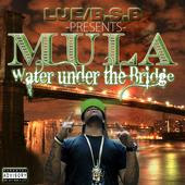 WATER UNDER THA BRIDGE