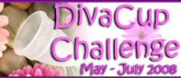 DivaCup Challenge 2008