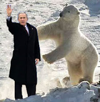 Polar bear vs. President