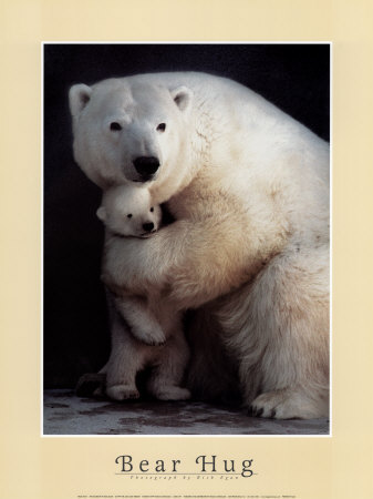[Bear-Hug-Print-C10036461.jpeg]