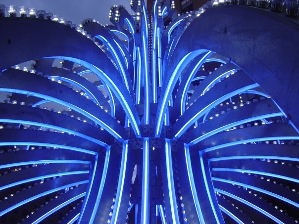 [n521533477_729318_9697.jpg]