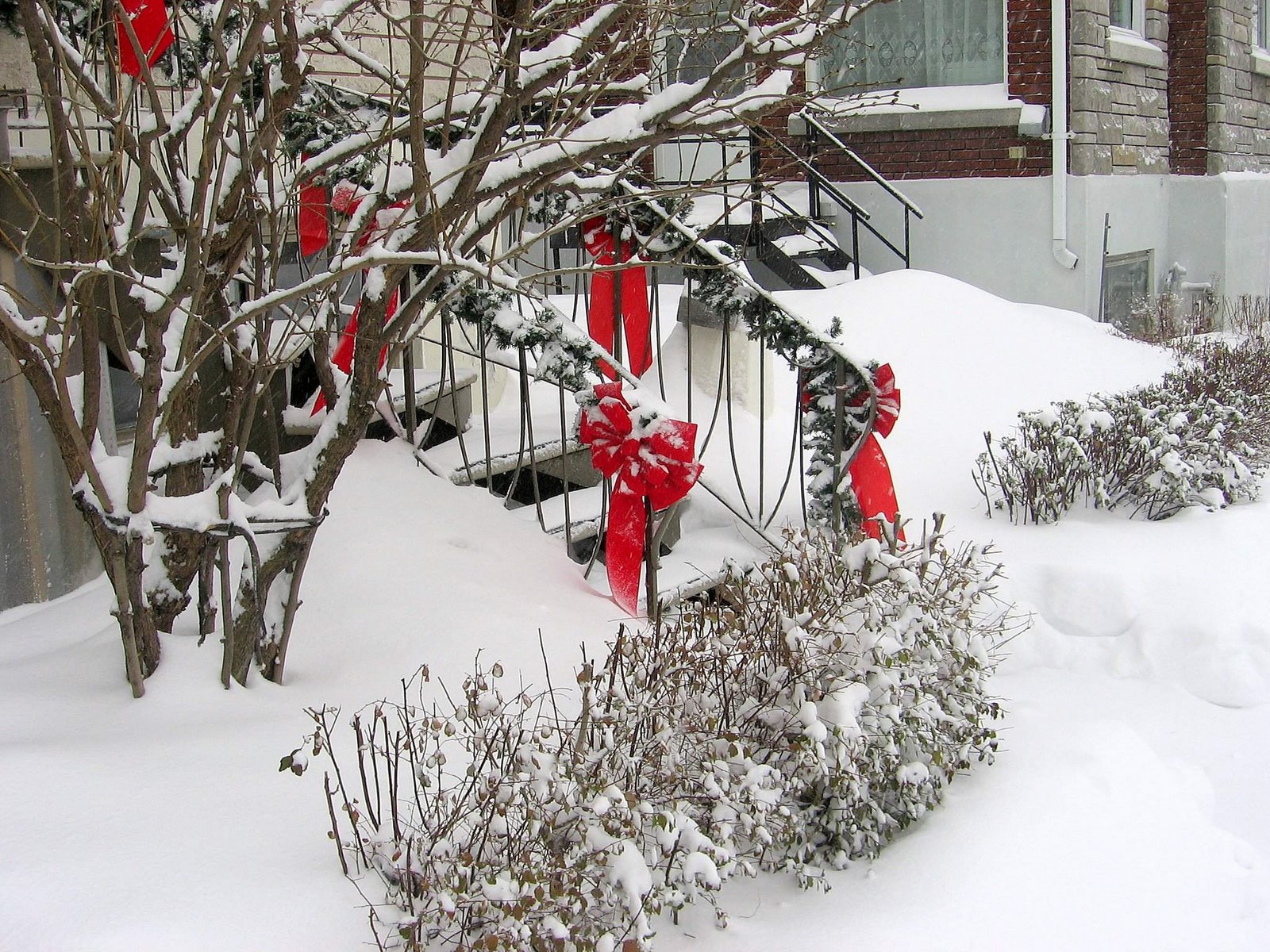 [tempete+de+neige+098b_2.jpg]