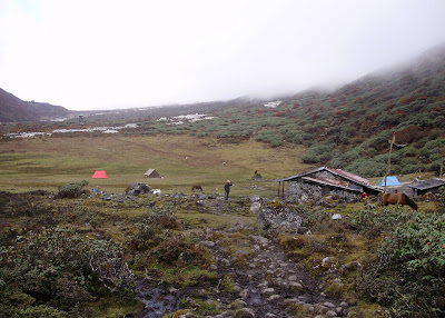 dzongri-goecha-la-trek