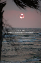 Angel of the Morning