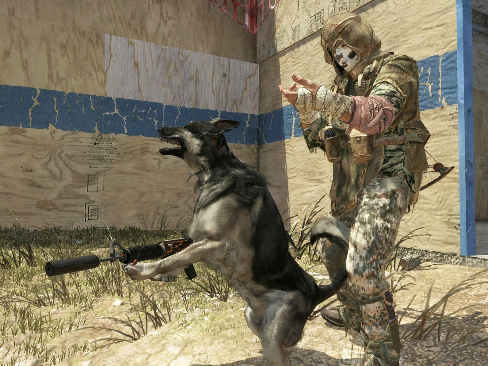 Rambo+Dog.jpg