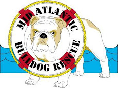 MidAtlanitc Bulldog Rescue