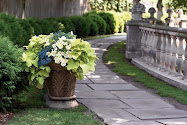 GardenDesigns+more
