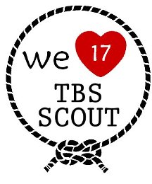 WE ARE PROUD AS A SCOUT !