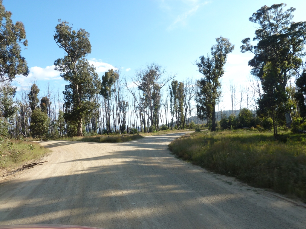 Back To Nature Bryce Circuit Alpine NP VIC