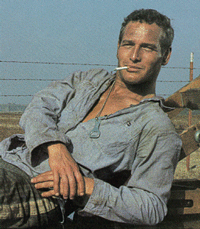 Paul Newman - Cool Hand Luke