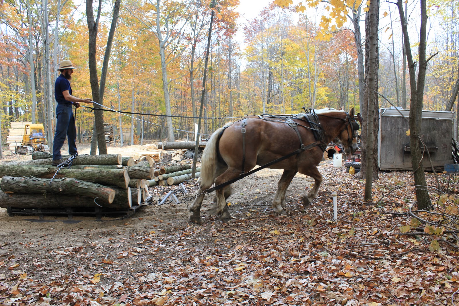 Wise Outdoor Adventures Amish Sawmill in operation Wellington, Ohio