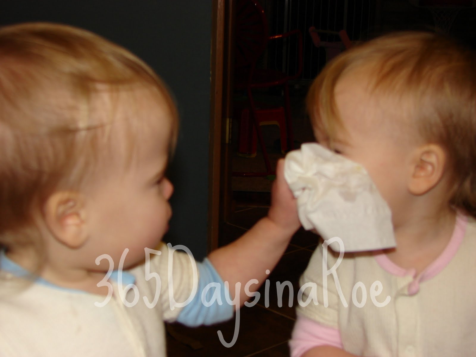 365 Days in a Roe Blow Your Nose