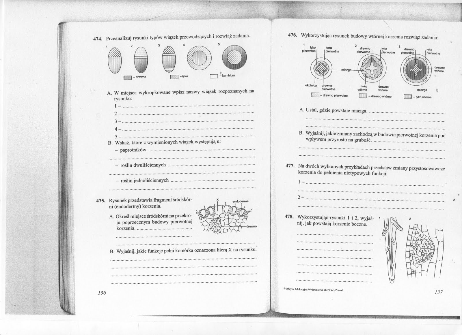 Odpoiwedzi Sprawdzian Rosliny Chomkiuj Gimnazjum probiochem.blogspot.com