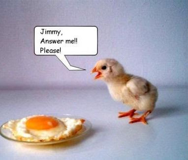 Funny and random questions Funny and random questions