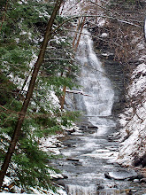 Maplewood Falls