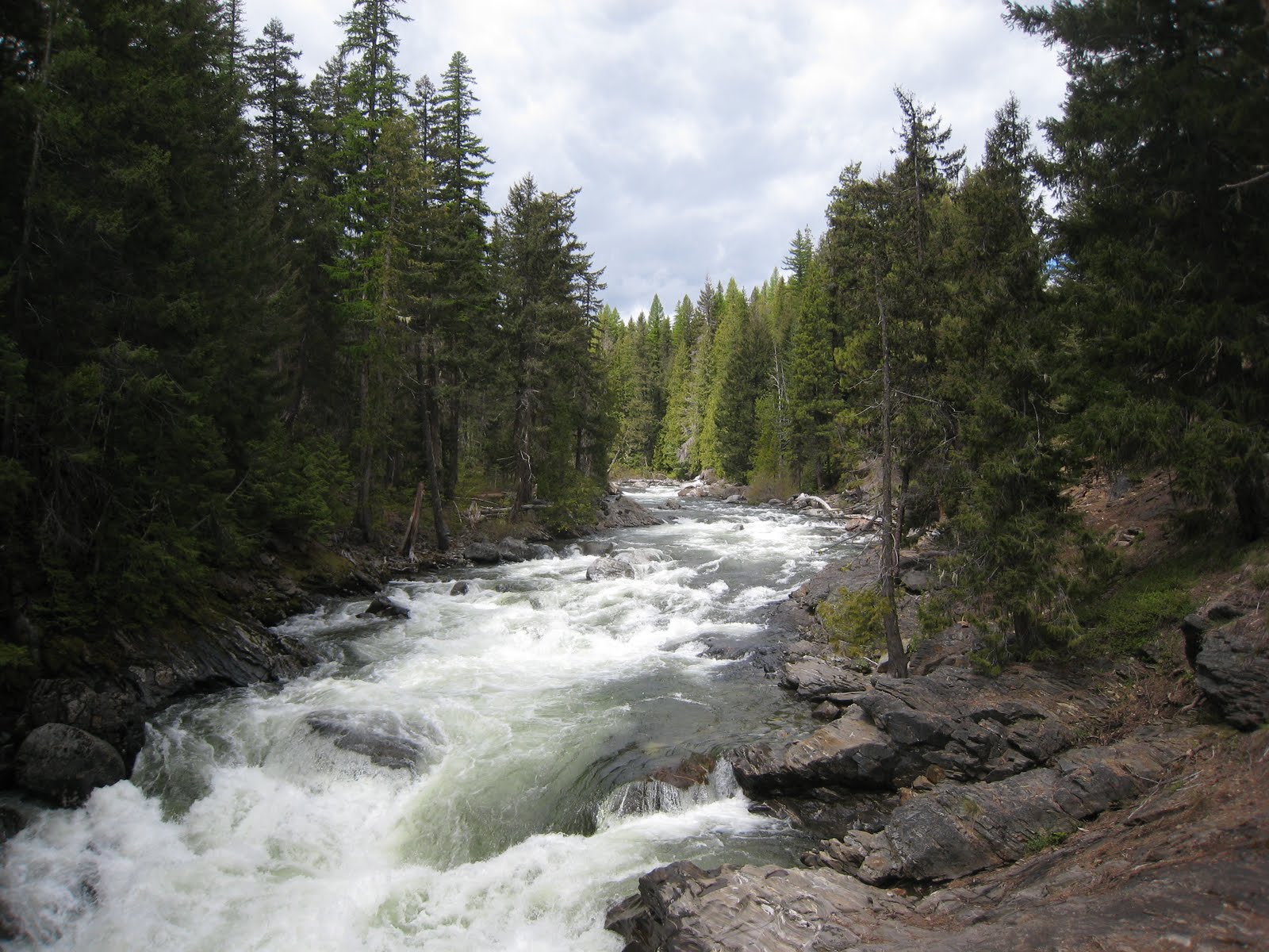 The Trip Report: Icicle River Gorge Trail - 05.24.10