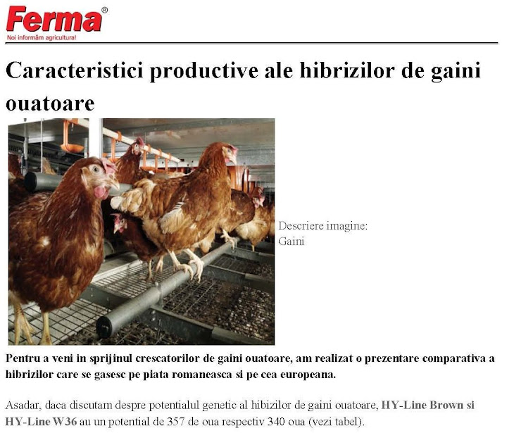 Caracteristici productive ale hibrizilor de găini ouătoare