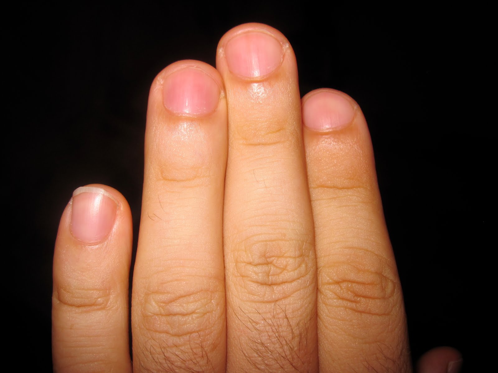 Ahoy Hanoi! Jul 27, 2010