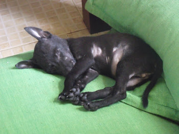 After a Busy Day