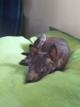 Me in relaxed mood