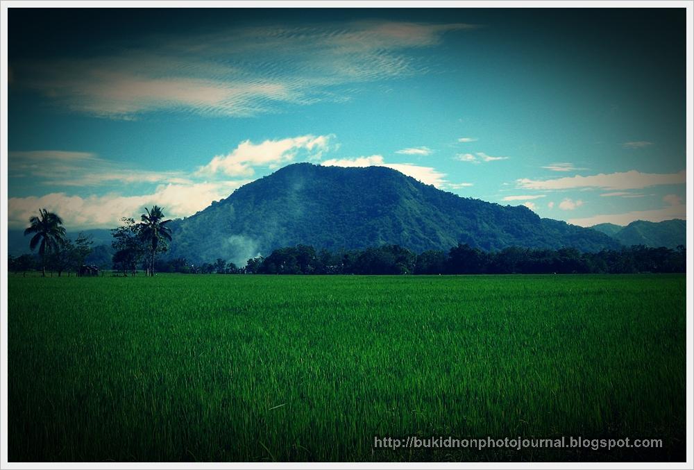 Bukidnon Photo Journal Random Shots Valencia City, the City of Golden