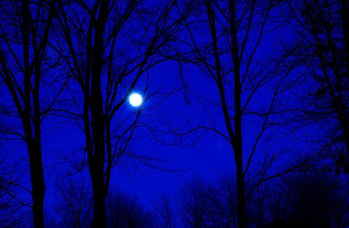 scary moon light halloween night
