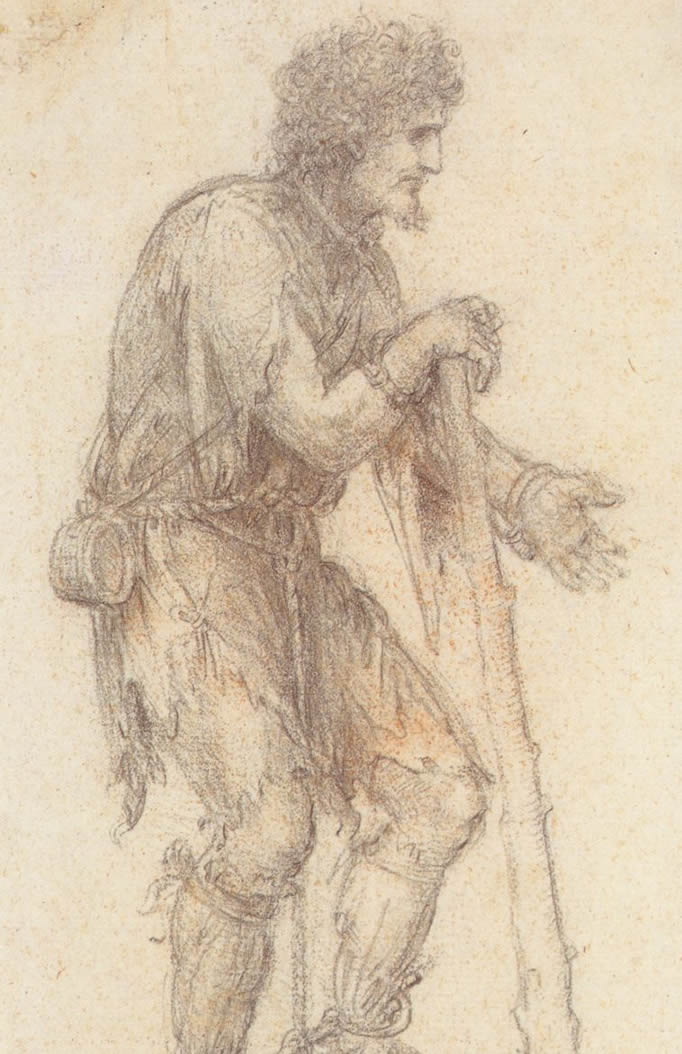 wallpaper: leonardo da vincis drawings